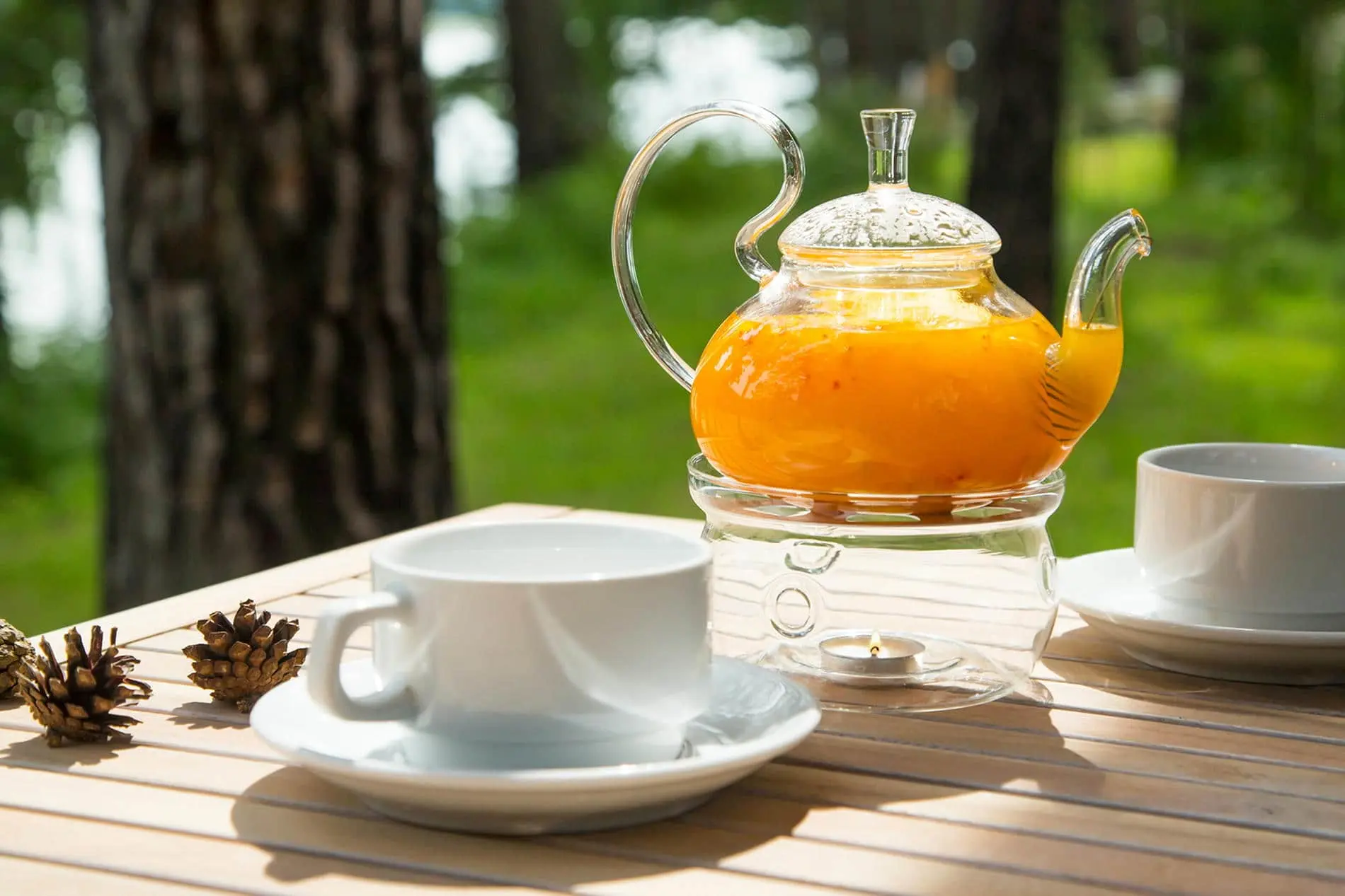 Ресторан «Сосны»