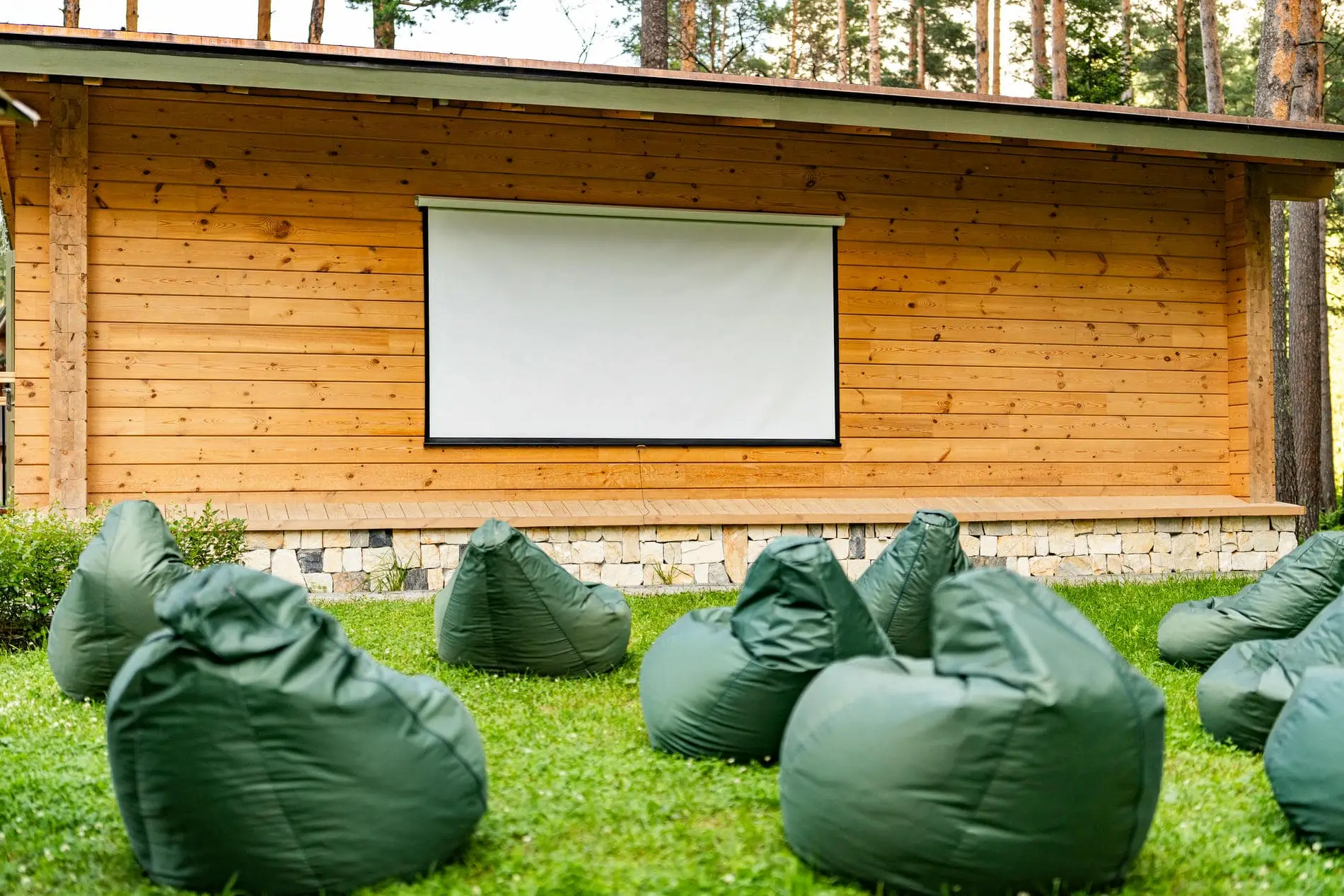 Кинополяна