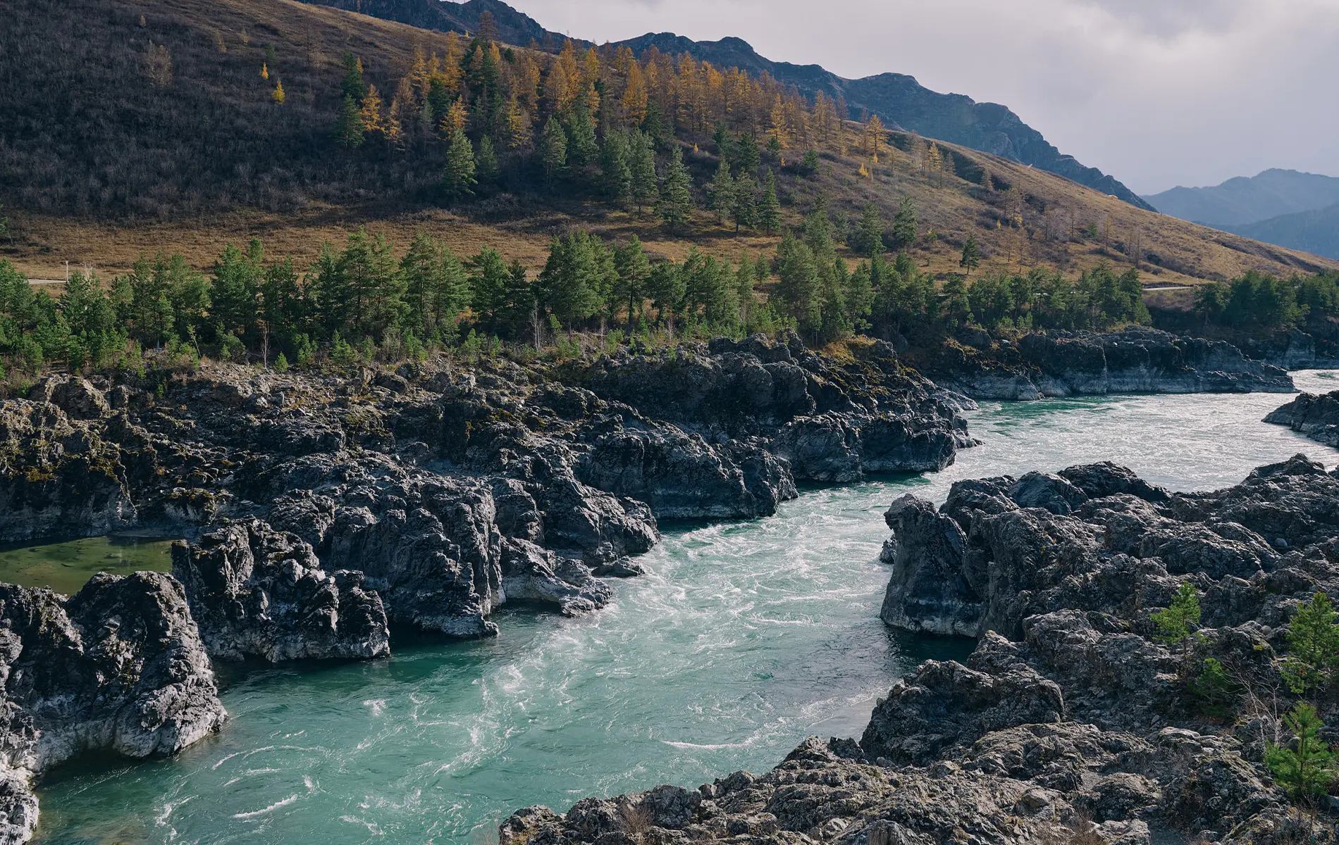 Живой Алтай