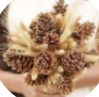 Элеонора Шишлова