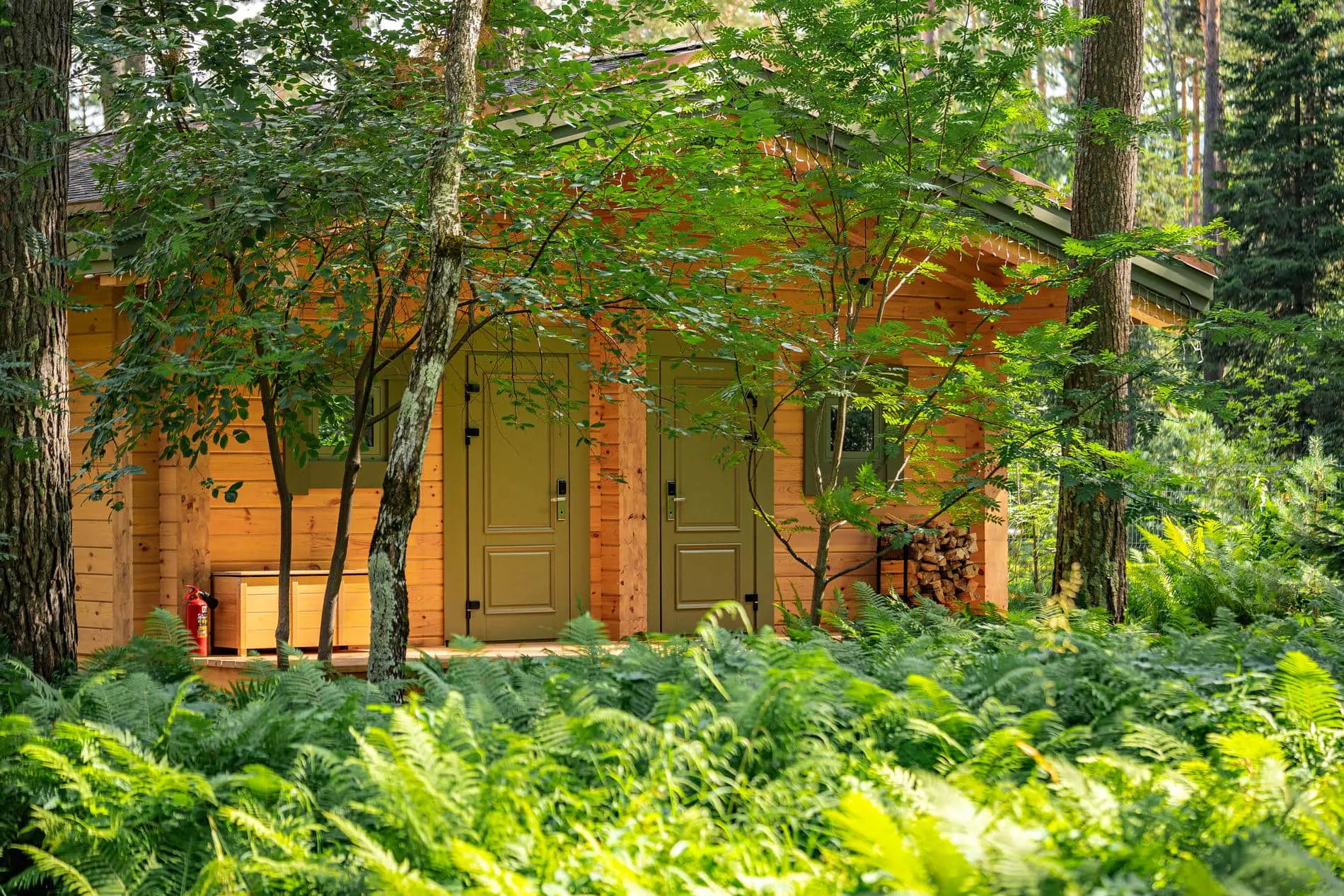 Дуплекс шале