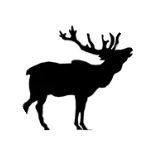 Алена Иноземцева