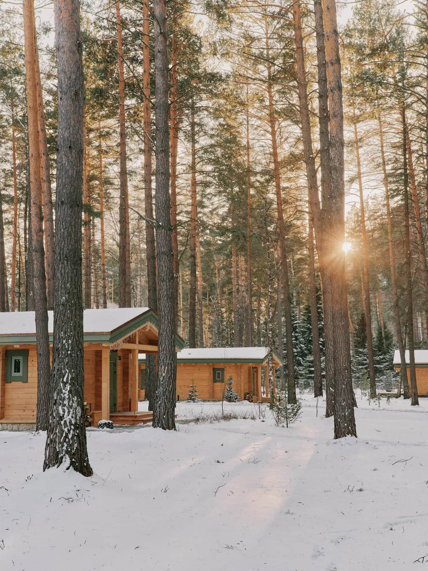 Фэмили Шале Ривер