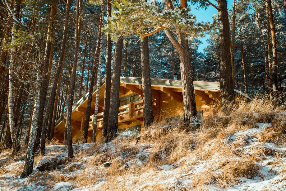 Прогулка в парк деревянных скульптур