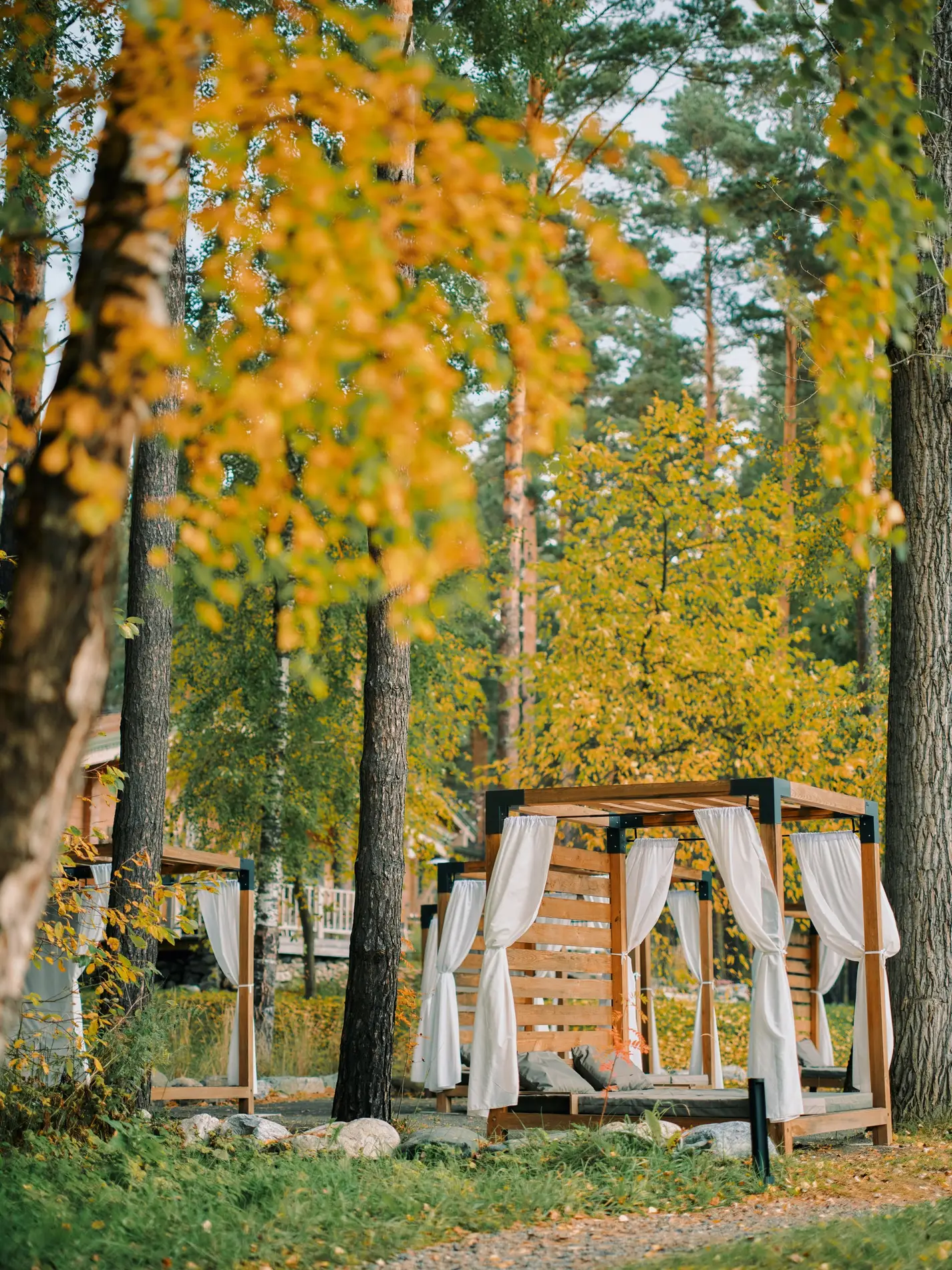 Золотая осень в Grand Chalet Altay