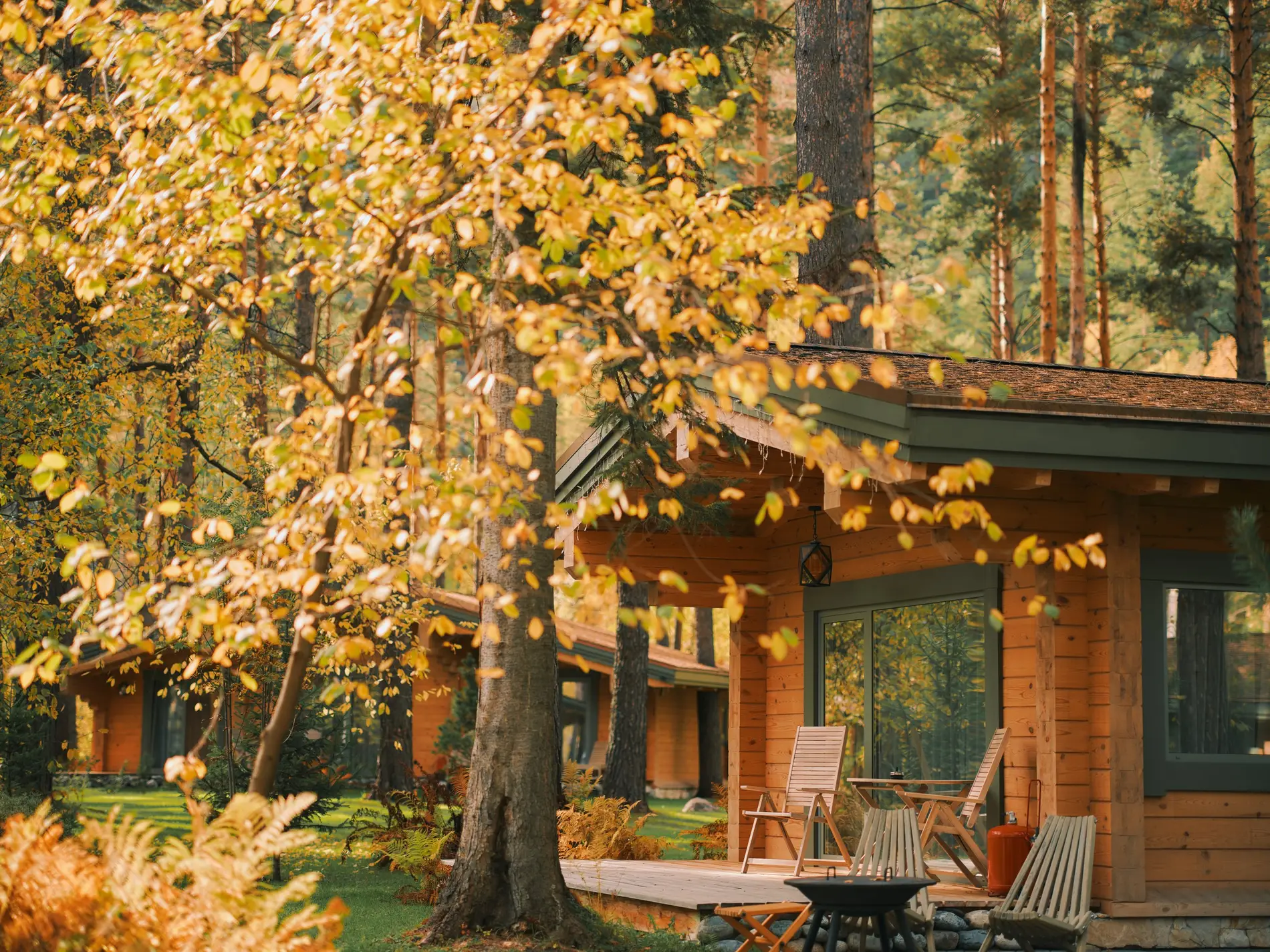 Золотая осень в Grand Chalet Altay